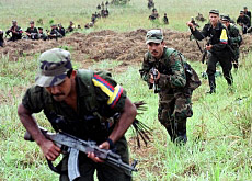 Guerilla
