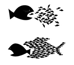 Gewaltfreier Widerstand - Fische